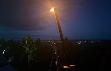 Fackel in den Weinbergen