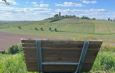 WeinZeit im Dobel | © Gemeinde Sulzfeld