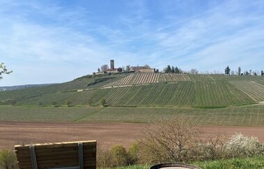 WeinZeit im Dobel | © Gemeinde Sulzfeld