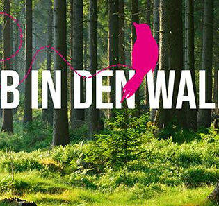 Waldmotiv