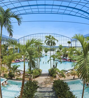 Poollandschaft mit Palmen | © Thermen & Badewelt Sinsheim