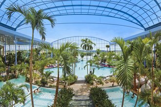 Poollandschaft mit Palmen | © Thermen & Badewelt Sinsheim