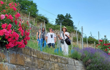 Eine Gruppe bestaunt im Weinberg die blühenden Rosen und Lavendelsträucher | © Daisy Knisel