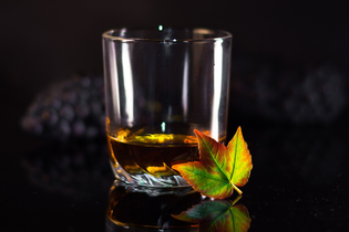 Whisky-Tasting "Modern Malts"