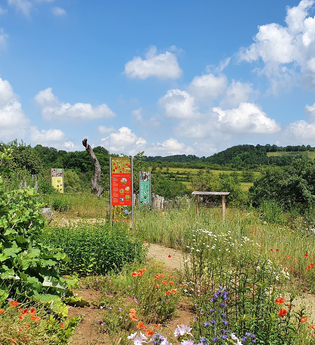 Wildkräuterwelt am Naturparkzentrum Stromberg-Heuchelberg | Zaberfeld | HeilbronnerLand | © Naturpark Stromberg-Heuchelberg