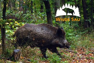 Wilde Sau-Tafelrunde im Schloss Neckarbischofsheim | © Verband Deutscher Naturparke