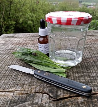 Wildkräutertour: Naturmedizin | © Naturakademie Heidelberg
