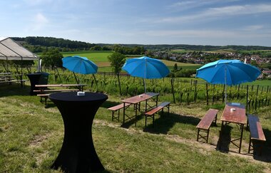 Wine & Gin Walk