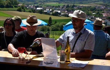 Wine & Gin Walk