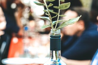 Wine O'Clock - Weinzeit beim Weingut Walz