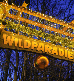 Eingangstor mit der Aufschrift 'Wildparadies', geschmückt mit Lichterketten und Tannenzweigen, vor einem dunklen Himmel. | © Erlebnispark Tripsdrill