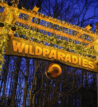 WinterWunderWald Tripsdrill
