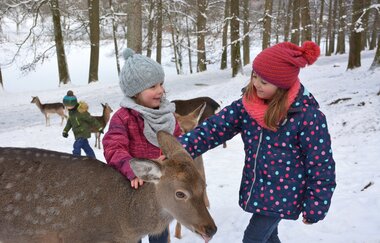 Wildtierfütterung im Winter |  Wildparadies Tripsdrill