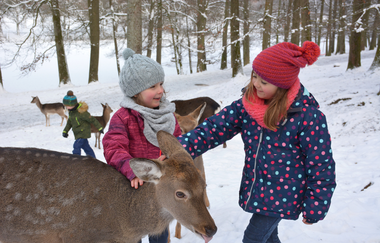 Wildtierfütterung im Winter |  Wildparadies Tripsdrill | © Erlebnispark Tripsdrill