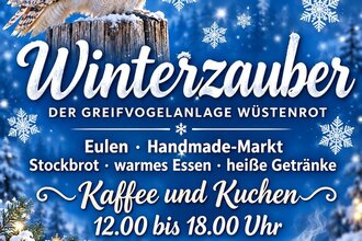 Schneeweiße Eule sitzt auf einem Baumstumpf vor blauem Hintergrund mit Schneeflocken und Text zu Winterzauber-Veranstaltung am 08.11. in der Georg-Kropp-Halle Wüstenrot mit Eulen, Handmade-Markt, Stockbrot, warmem Essen, heißen Getränken sowie Kaffee und