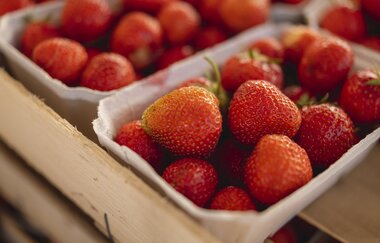 Erdbeerkartons gefüllt mit vielen roten Erdbeeren. | © PHILIPPREINHARD.COM