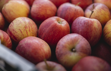 Jede Menge Äpfel in einem Korb | © PHILIPPREINHARD.COM