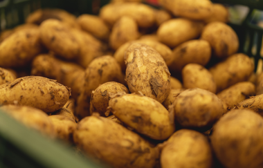 Kartoffeln frisch geerntet | © PHILIPPREINHARD.COM