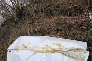 Zeichnen mit der Natur - in der Natur