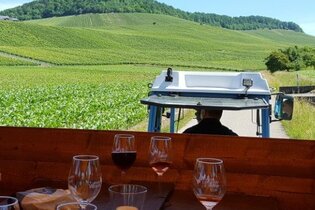 Zur Rebblüte in die Weinberge | © Weingut Weiberle