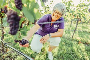 WeinErlebnisFührerin Heidi Brose-Schilling | HeilbronnerLand | © Touristikgemeinschaft HeilbronnerLand