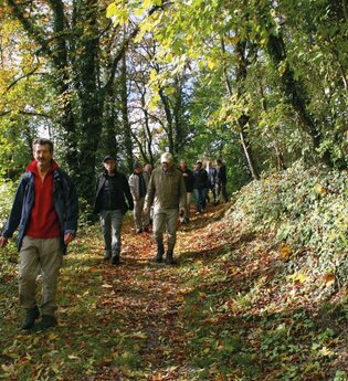 Wandergruppe im Herbst auf dem LT21 nach Krautheim. | © Heimat & Kultur e.V.