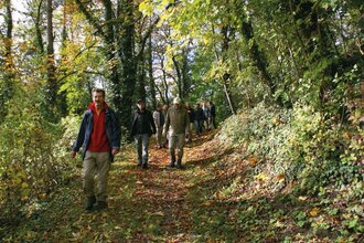 Wandergruppe im Herbst auf dem LT21 nach Krautheim. | © Heimat & Kultur e.V.