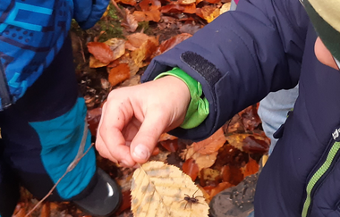 3 Tage Ronja Räubertochter