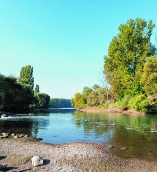 Auenwald und Dünensand