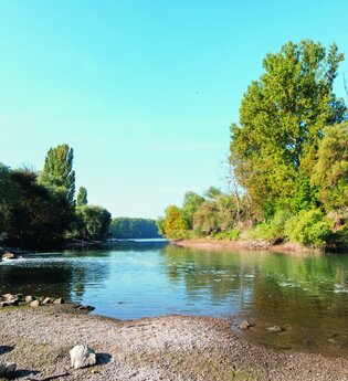 Auenwald und Dünensand