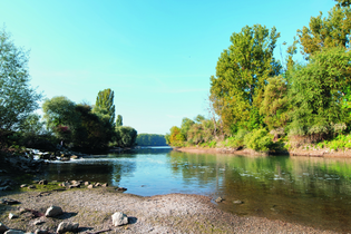 Auenwald und Dünensand