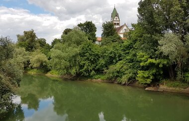 Auenwald und Dünensand