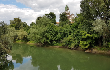 Auenwald und Dünensand