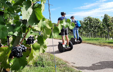 Mit dem Segway durch die Weinberge | Wartberg | Heilbronn | © Anke Schäffer