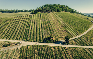 Ausblick auf den Wartberg Heilbronn | HeilbronnerLand | © Touristikgemeinschaft HeilbronnerLand e.V.