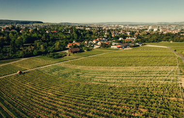 Panorama vom Wartberg Heilbronn | HeilbronnerLand | © Touristikgemeinschaft HeilbronnerLand e.V.