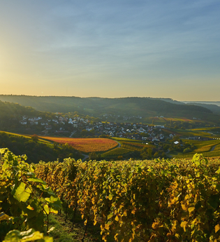 Weinpanorama Löwenstein | Aussicht über´s Weinsberger Tal | HeilbronnerLand | © Tourismus im Weinsberger Tal