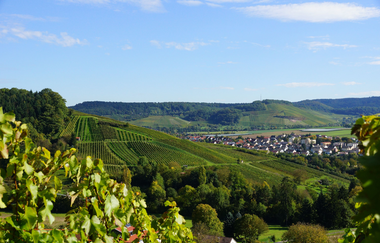 Blick auf´s Eschenauer Paradies | Obersulm | Weinsberger Tal | HeilbronnerLand | © Tourismus im Weinsberger Tal e.V.