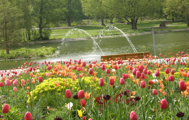 Kurpark Bad Rappenau | HeilbronnerLand | © Bad Rappenauer Touristikbetrieb GmbH