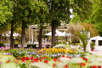 Blick in den Kurpark in Bad Mergentheim. Im Vordergrund sind blühende Blumen und im Hintergrund ein großer Pavillon zu sehen. | © Kurverwaltung Bad Mergentheim