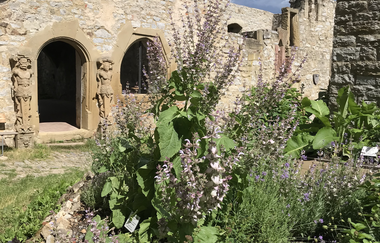 Burg Hornberg Kräutergarten | Neckarzimmern | © Burg Hornberg