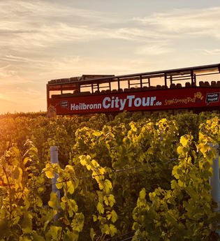 Im Bildvordergrund sind von der Abenddämmerung angestrahlte Weinreben zu sehen. Im Hintergrund ist der rote Doppeldeckerbus mit Cabriodach und Personen an Bord erkennbar | © Heilbronn Marketing GmbH