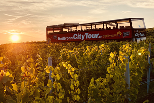 Im Bildvordergrund sind von der Abenddämmerung angestrahlte Weinreben zu sehen. Im Hintergrund ist der rote Doppeldeckerbus mit Cabriodach und Personen an Bord erkennbar | © Heilbronn Marketing GmbH