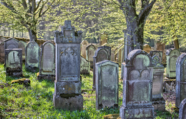 Grabsteine auf dem jüdischen Friedhof I Bad Rappenau I HeilbronnerLand | © Uwe Grün