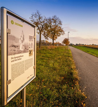 Dem Spargel auf der Spur | © Stadt Schwetzingen