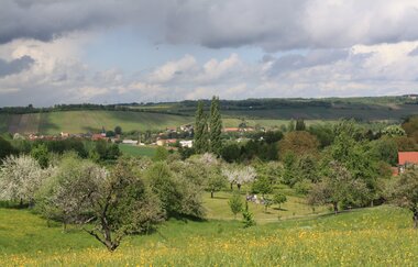 Der Brunnenweg | naturkundliche Führung in Pfaffenhofen mit Förster a.D. Robert Böckle