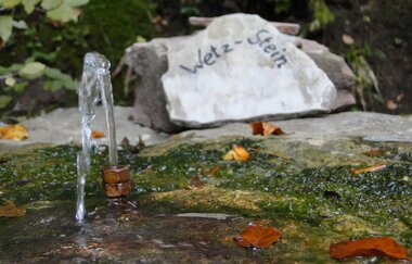 Der Brunnenweg | naturkundliche Führung in Pfaffenhofen mit Förster a.D. Robert Böckle