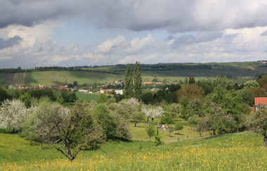 Der Brunnenweg | naturkundliche Führung in Pfaffenhofen mit Förster a.D. Robert Böckle