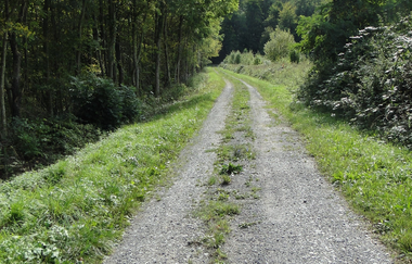 Der Brunnenweg | naturkundliche Führung in Pfaffenhofen mit Förster a.D. Robert Böckle