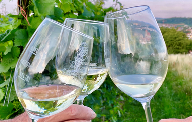 In der Rebzeile stoßen wir mit einem Glas Weißwein zusammen an | © Daisy Knisel